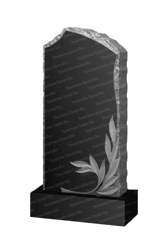 Двойные памятники в Лиозно на могилу фото