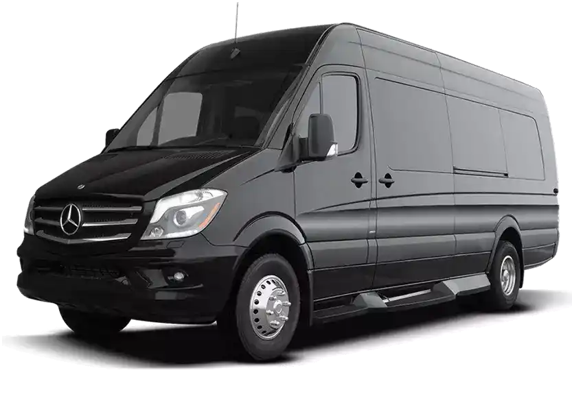 Памятник Лиозно изображение